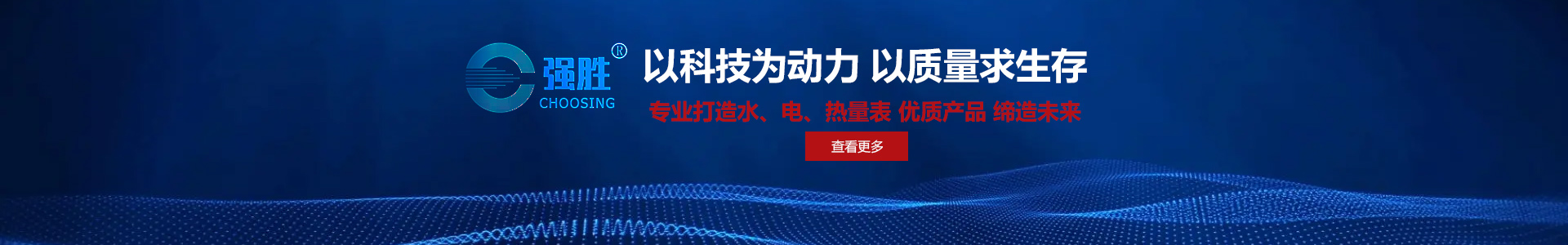 山東強(qiáng)勝電子科技有限公司